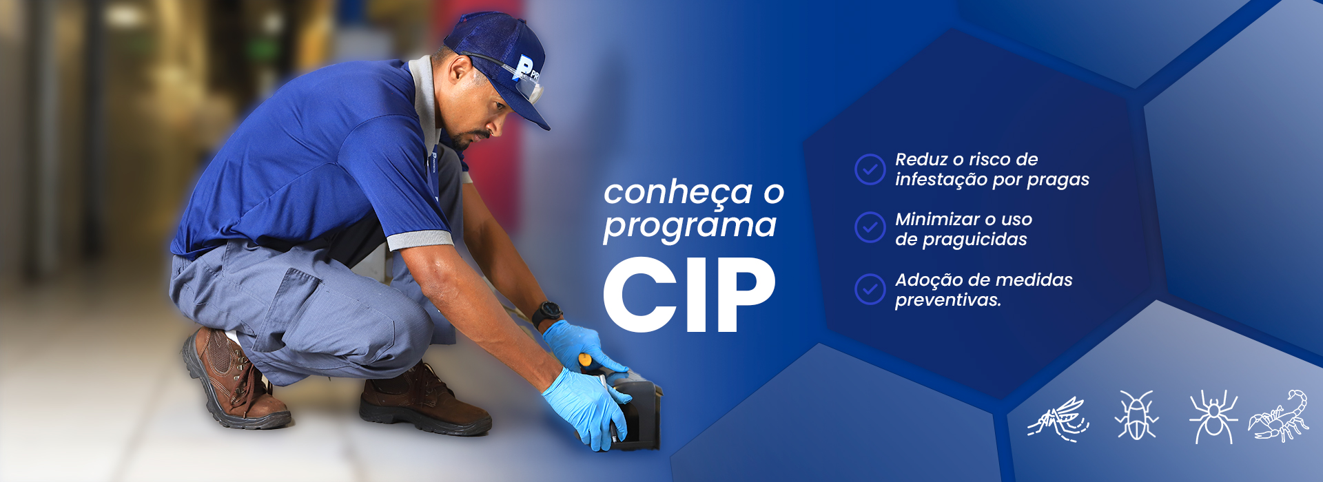 Controle de pragas profissional