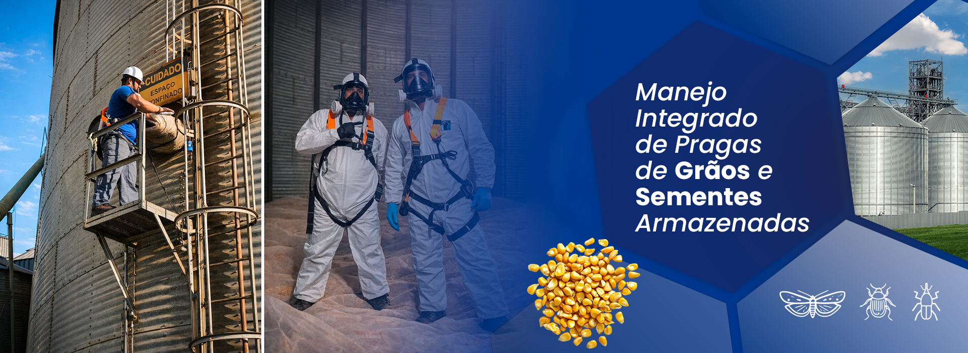 Expurgo e Profilaxia