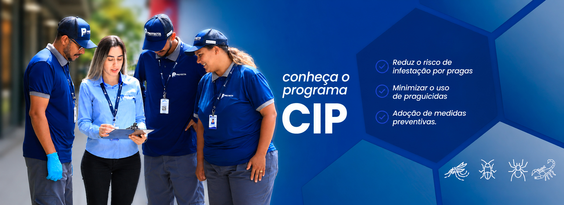 Controle de pragas profissional