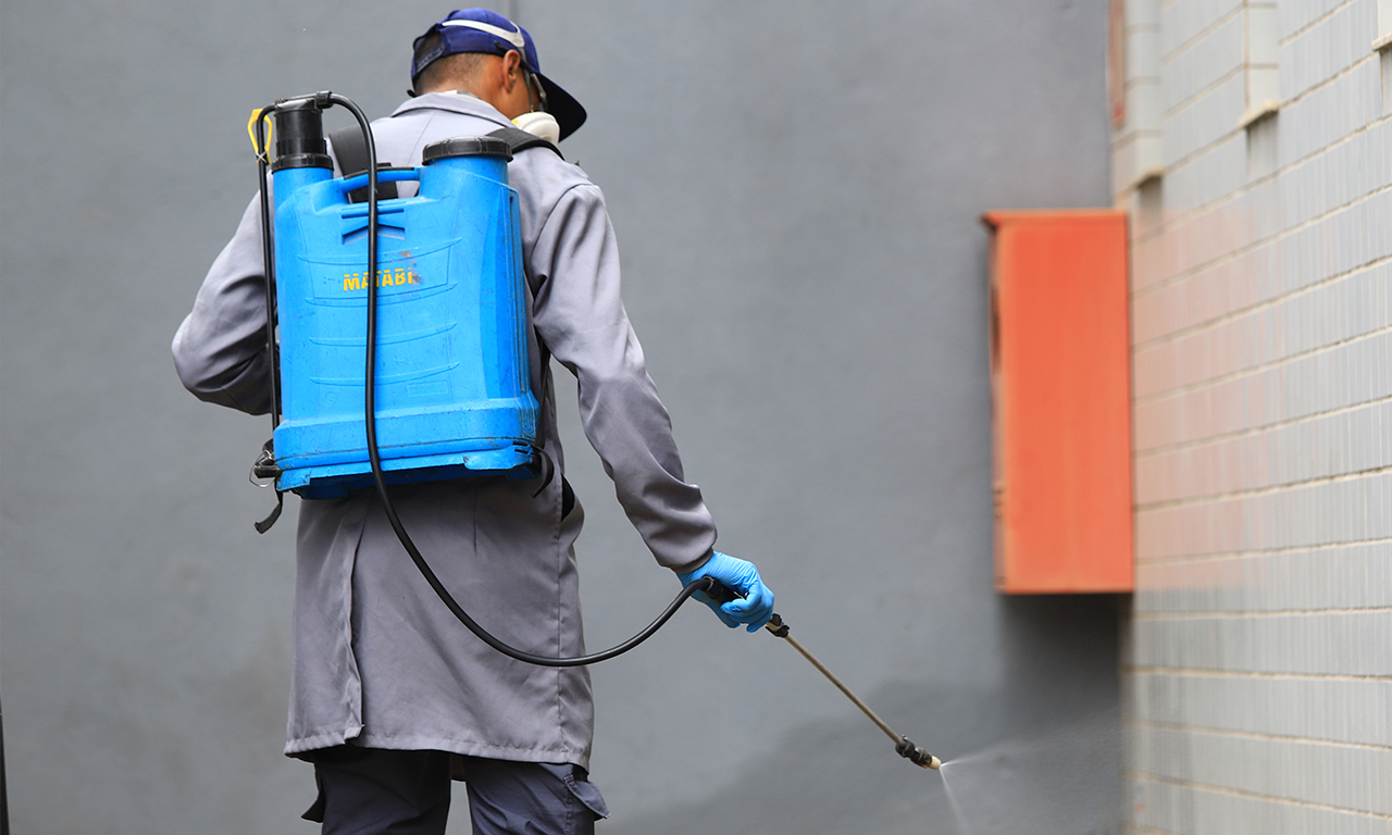 Desinsetização - Tratamentos Químicos